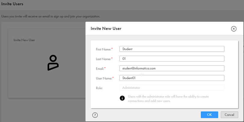 Figure 9: A user with access to Data Loader can invite other users using their email to the same org.