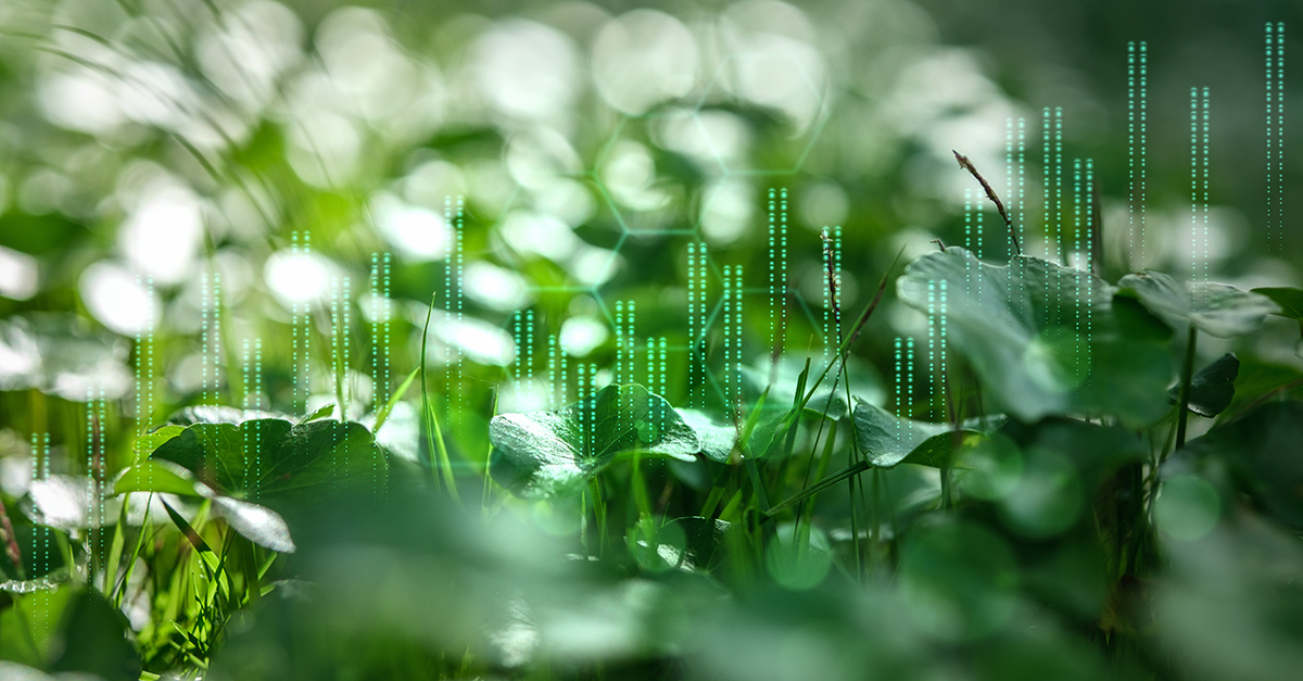 Rethinking Sustainability Data in an AI-Driven Enterprise | Informatica