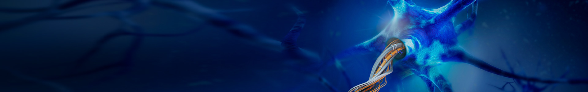 Secondary Hero Background Image
