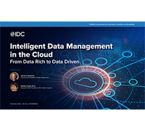 Intelligent Data Management in the Cloud