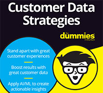 Customer Data Strategies For Dummies