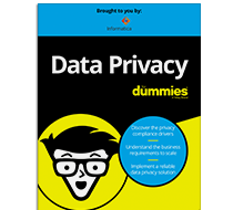 c25-data-privacy-dummies-3600