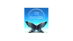 informatica-wins-the-best-brand-promotion-award.jpg