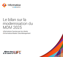 Rapport sur l'état de la modernisation du MDM 2025