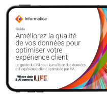 Guide du leader de données pour transformer les données clients
