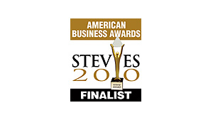 stevie-awards-american-business-awards-2010-informatica-finalists.jpg