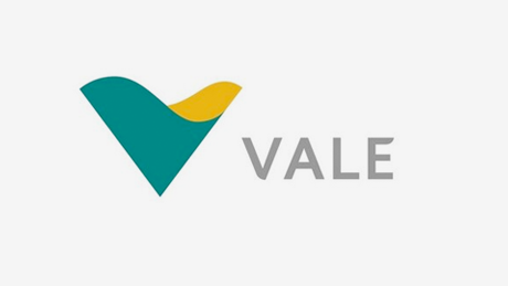 vale_customer-story.pdf